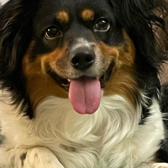 Meet your Posher, Lori - Picture 1 of 1